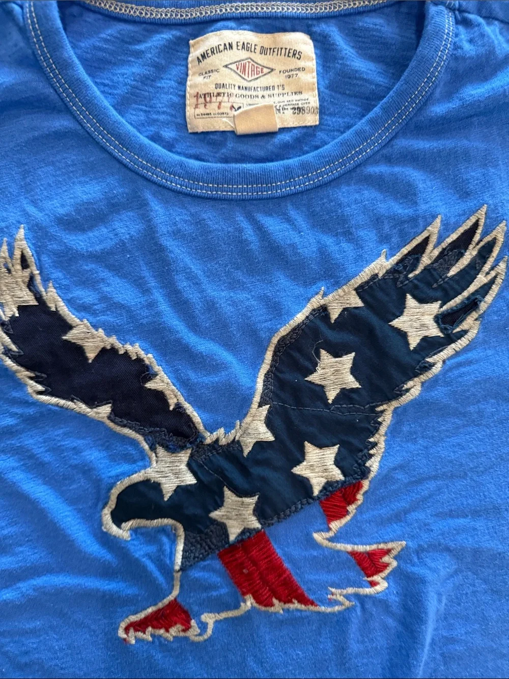 Blue Eagle Graphic Tee - American eagle men’s large - Picture 2 of 4